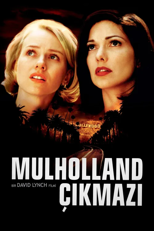 Mulholland Çıkmazı İndir posteri