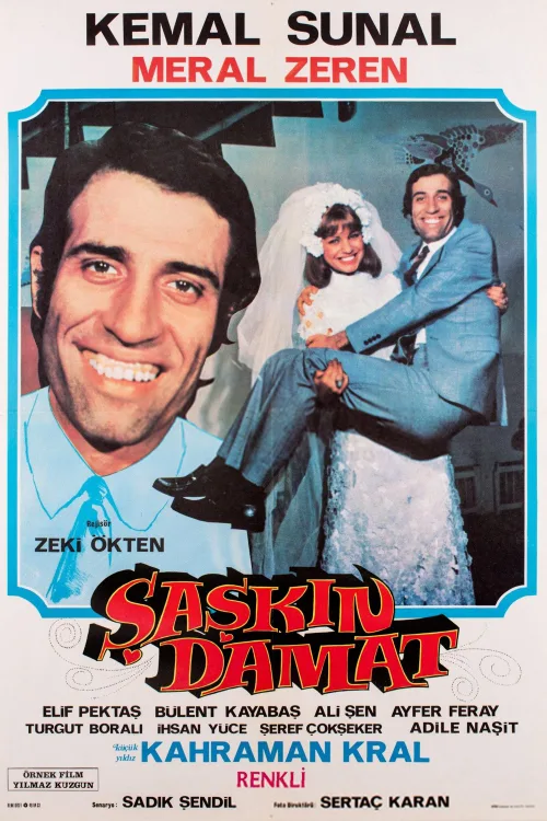 Şaşkın Damat İndir posteri