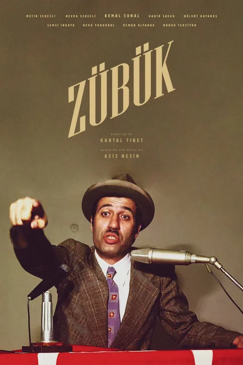 Zübük İndir posteri