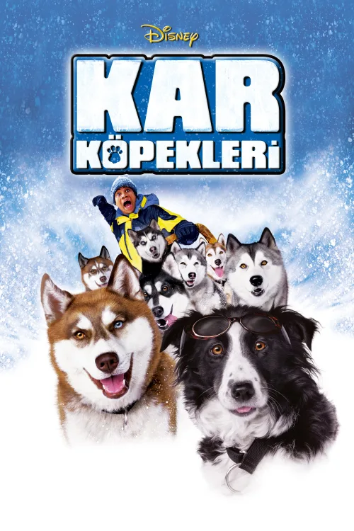 Kar Köpekleri İndir posteri