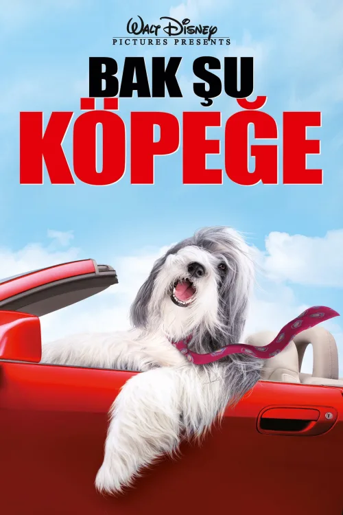 Bak Şu Köpeğe İndir posteri