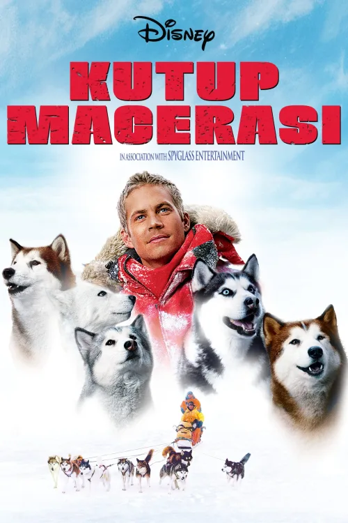 Kutup Macerası İndir posteri