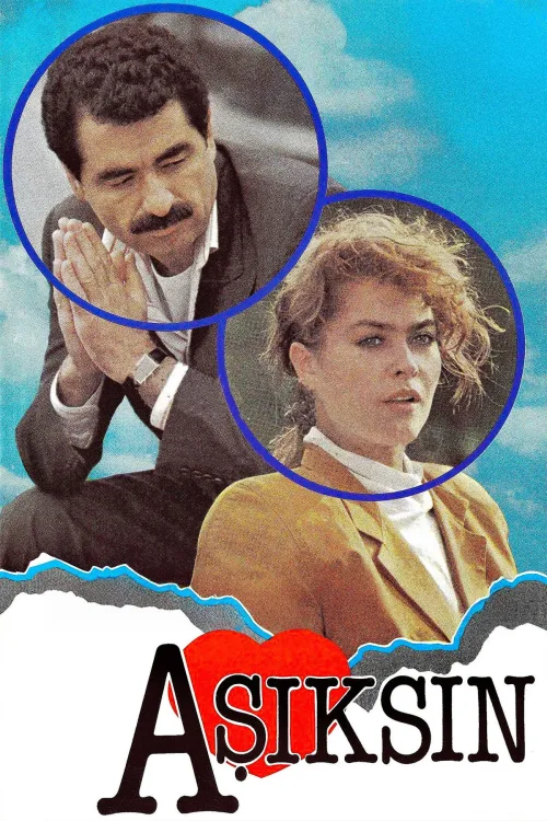 Sen Aşıksın Arkadaş İndir posteri