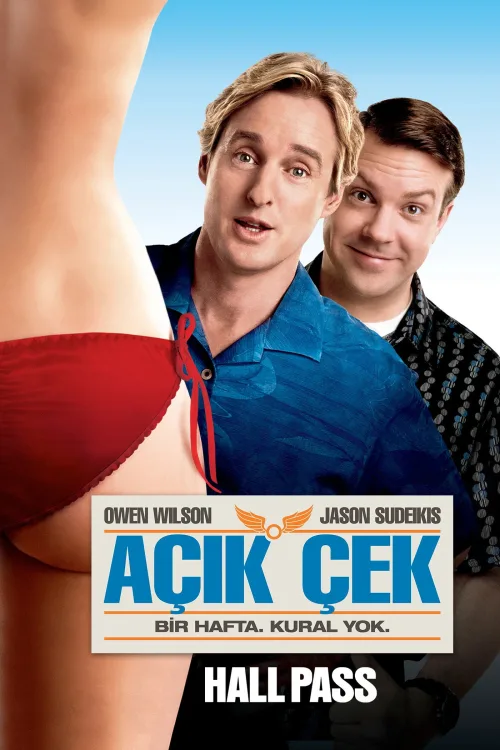 Açık Çek İndir posteri