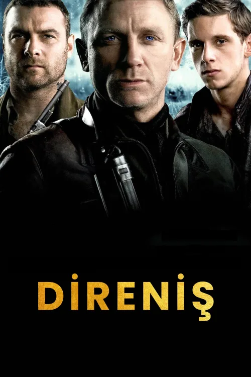 Direniş İndir posteri