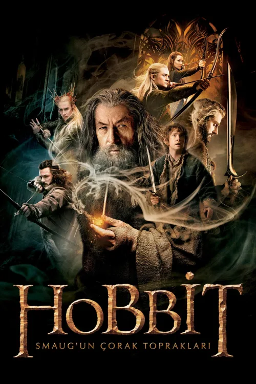 Hobbit: Smaug'un Çorak Toprakları İndir posteri