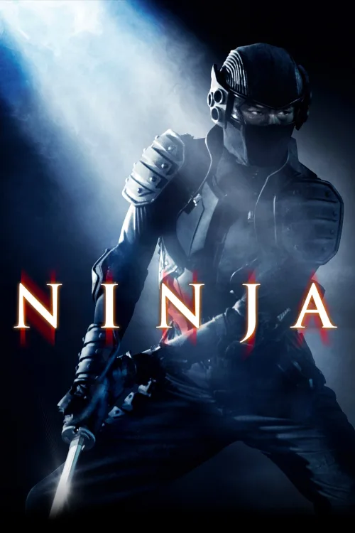 Ninja İndir posteri