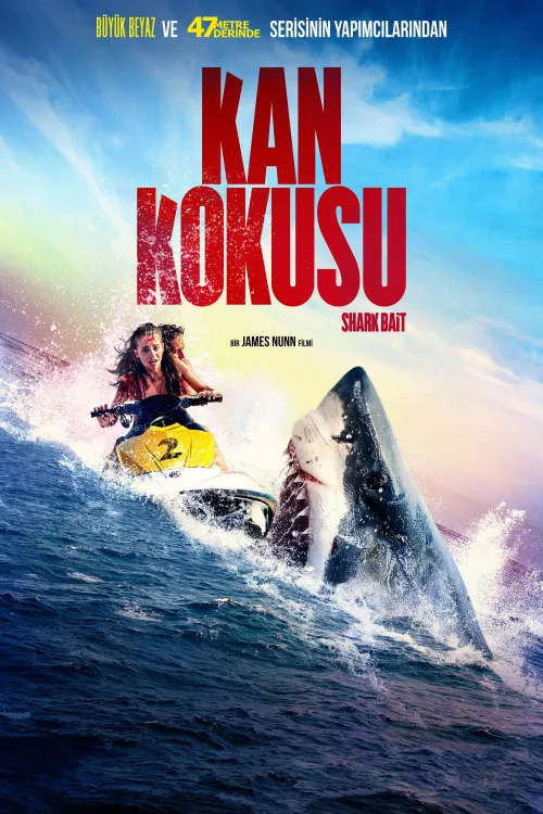 Kan Kokusu İndir posteri