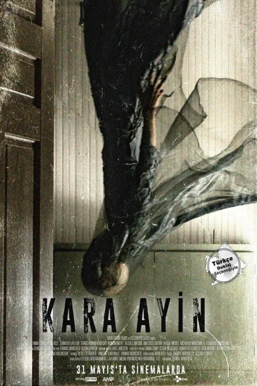 Kara Ayin İndir posteri
