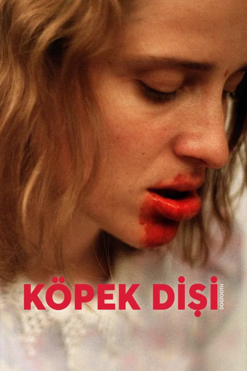 Köpek Dişi İndir posteri