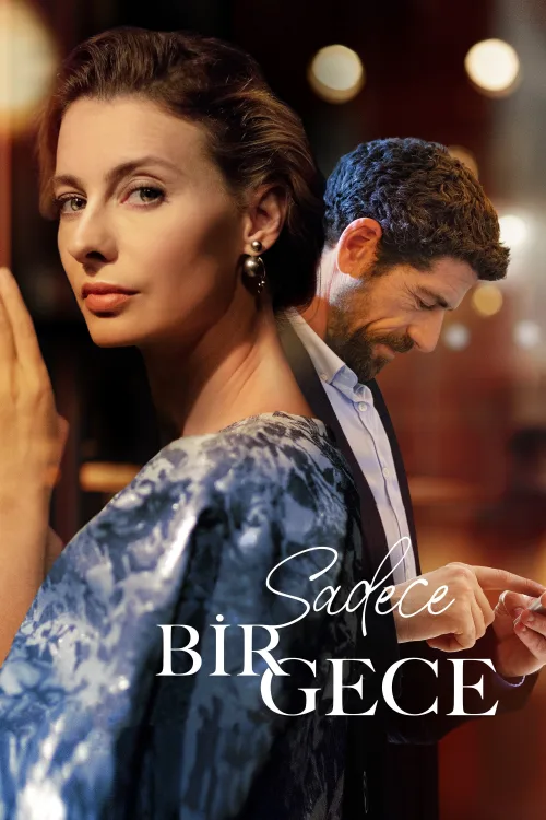 Sadece Bir Gece İndir posteri