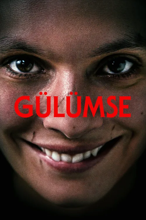 Gülümse İndir posteri