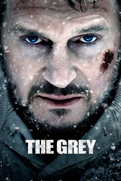 Gri Kurt İndir posteri