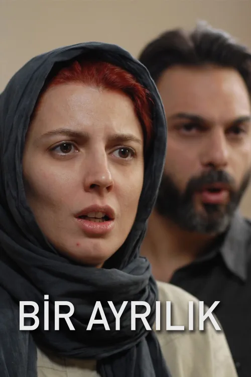 Bir Ayrılık İndir posteri