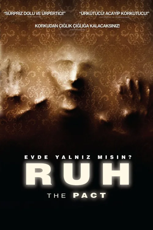 Ruh İndir posteri