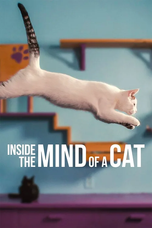 Inside the Mind of a Cat İndir posteri