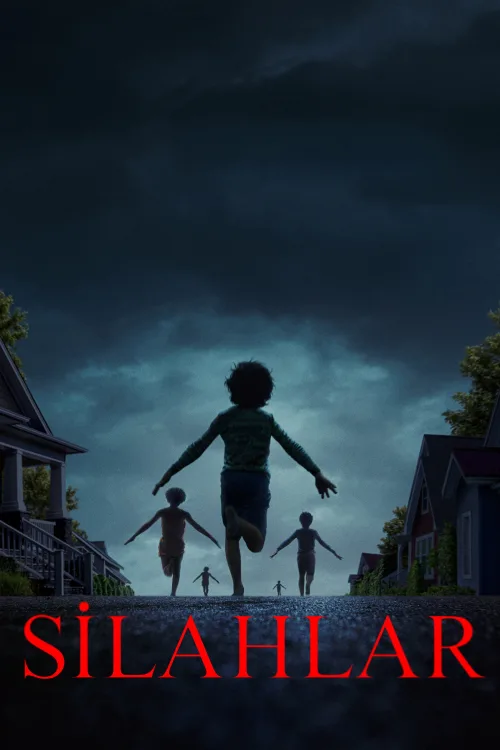 Silahlar İndir posteri