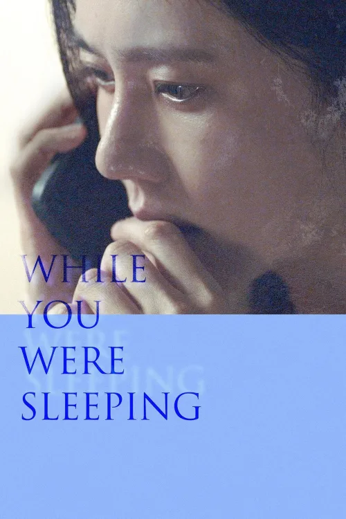 While You Were Sleeping İndir posteri