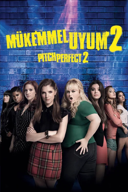 Mükemmel Uyum 2 İndir posteri