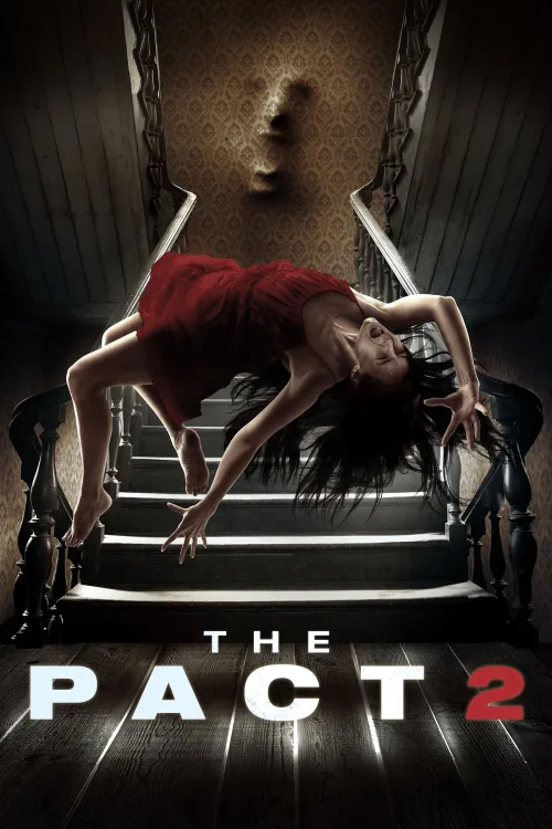 Ruh 2 İndir posteri