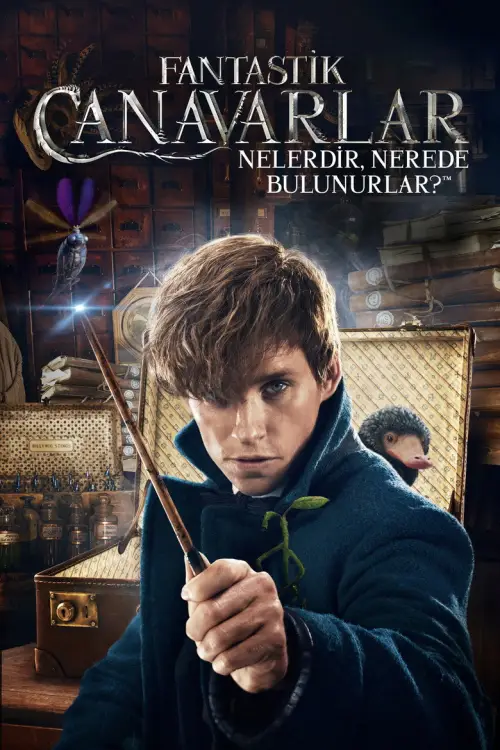 Fantastic Beasts and Where to Find Them posteri