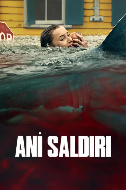 Ani Saldırı İndir posteri