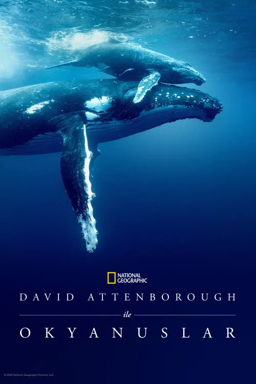 David Attenborough ile Okyanuslar İndir posteri