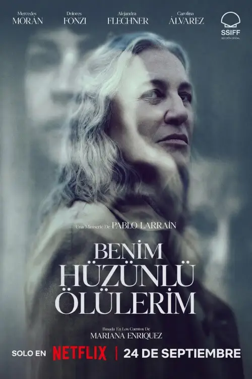 My Sad Dead 1080p Dual İndir posteri