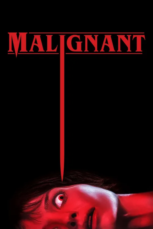 Habis İndir posteri