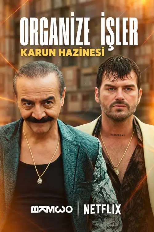 Organize İşler: Karun Hazinesi 1080p İndir posteri