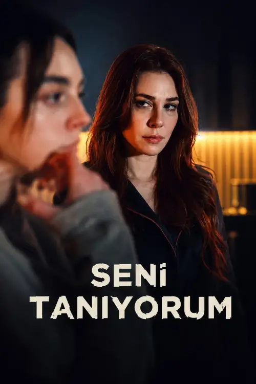Seni Tanıyorum 1080p İndir posteri