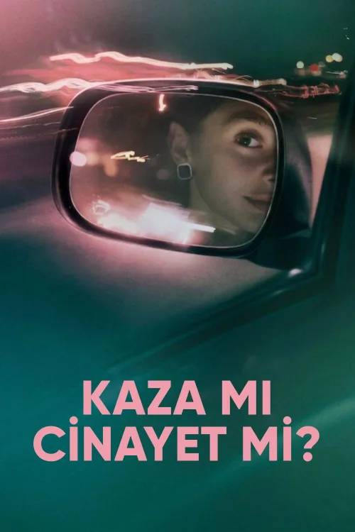 The Crash İndir posteri