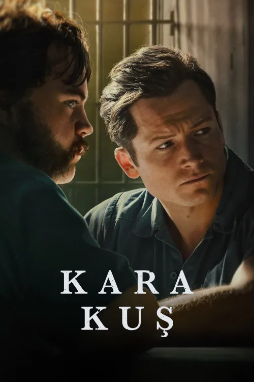 Black Bird 1080p İndir posteri