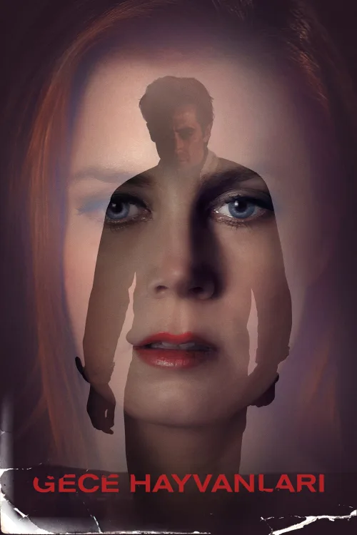 Gece Hayvanları İndir posteri