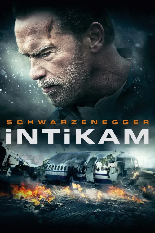 Akıbet İndir posteri