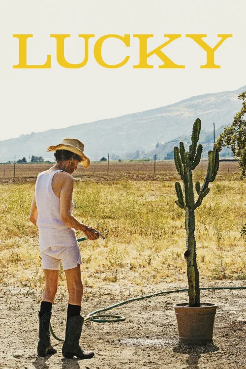 Lucky İndir posteri