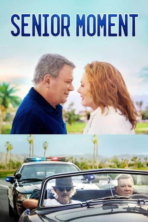 Hafıza Kaybı İndir posteri