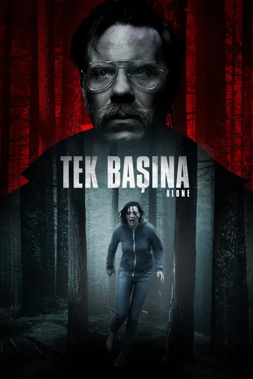 Tek Başına İndir posteri