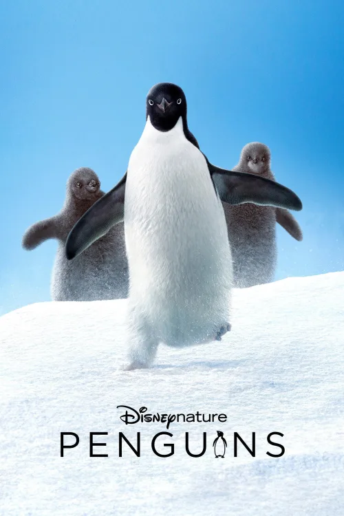 Penguenler İndir posteri