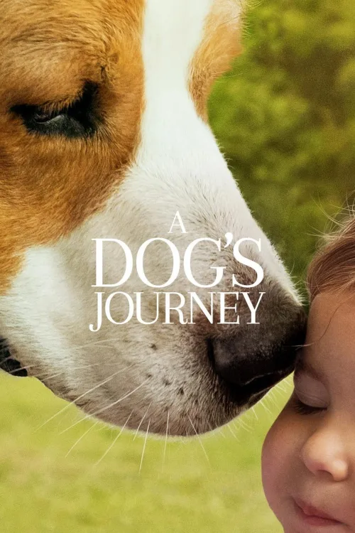 A Dog's Journey İndir posteri