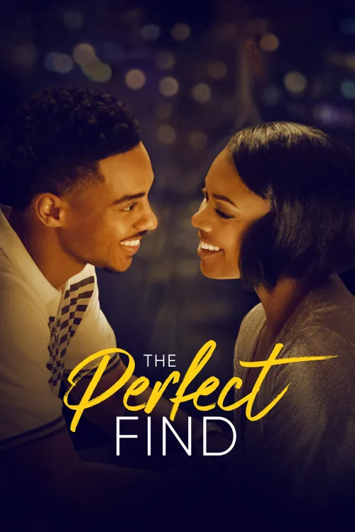 The Perfect Find İndir posteri