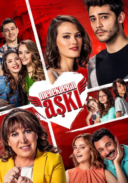 Meleklerin Aşkı 1080p İndir posteri