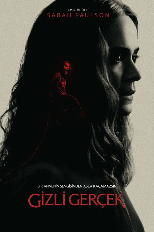 Gizli Gerçek İndir posteri