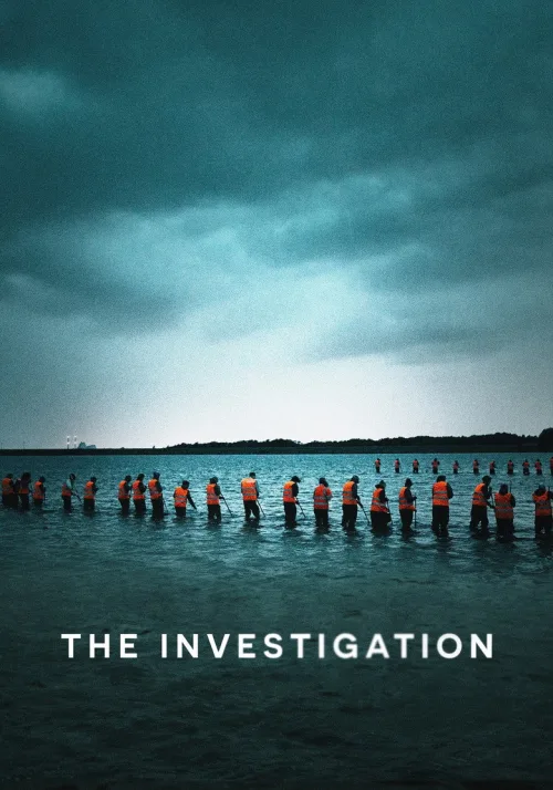 The Investigation 1080p İndir posteri