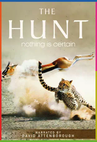 The Hunt 1080p İndir