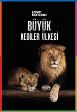 Big Cat Country 1080p İndir