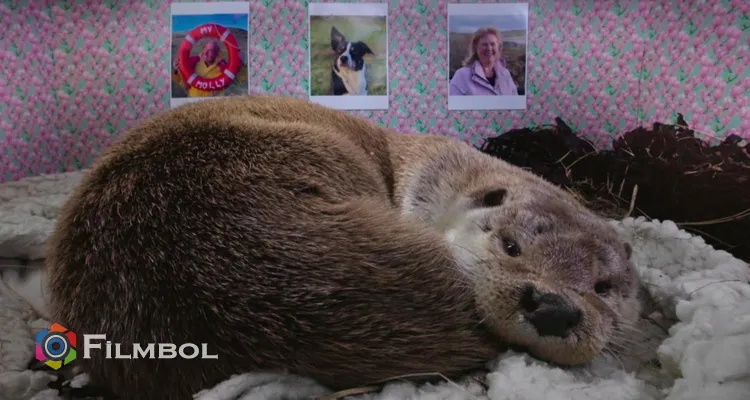 Billy & Molly: An Otter Love Story İndir