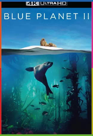 Blue Planet II 4K İndir