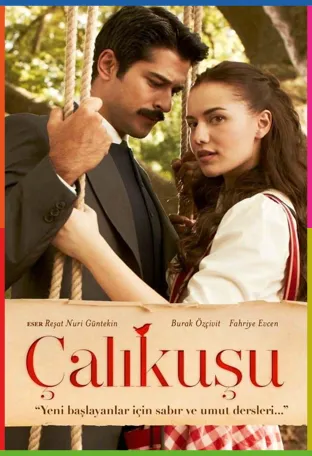 Çalıkuşu 1080p İndir