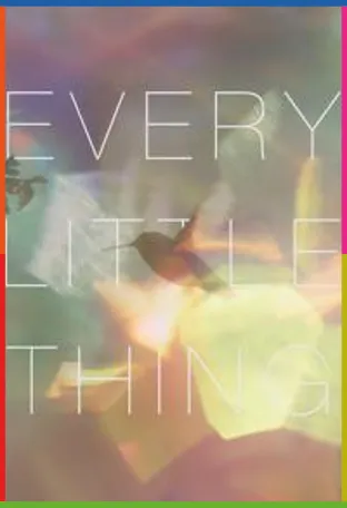 Every Little Thing İndir
